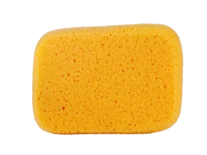 Sponge