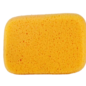 Sponge